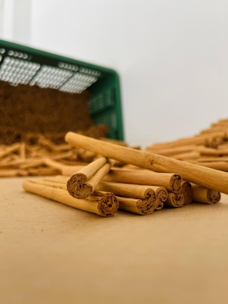 Cut Ceylon cinnamon sticks on kraft paper with bulk cinnamon in a crate behind